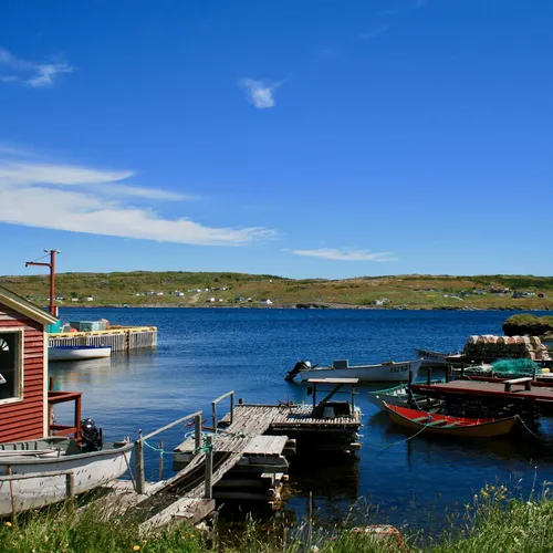 Freewheeling Adventures