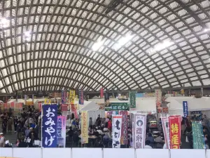 Nipro Hachiko Dome (Odate Jukai Dome)