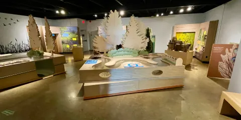 Kerry Wood Nature Centre