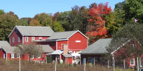 Hacklebarney Farms Cider Mill