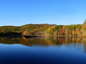 Quincy Bog Natural Area