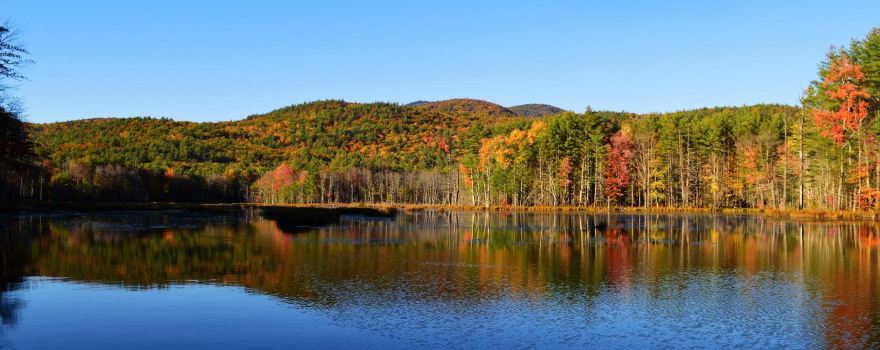 Quincy Bog Natural Area