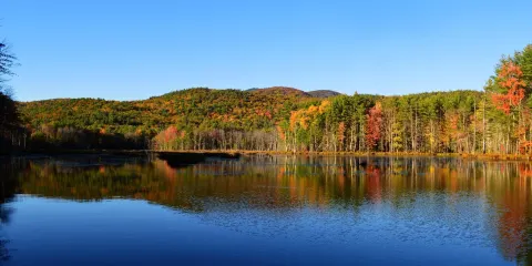 Quincy Bog Natural Area
