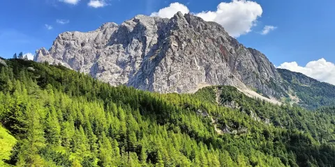 維斯克山峽