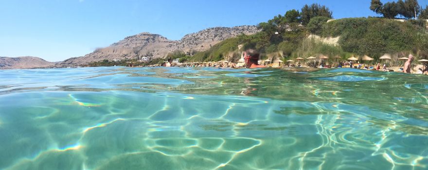 Istiea Edipsos