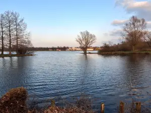 Salzgittersee