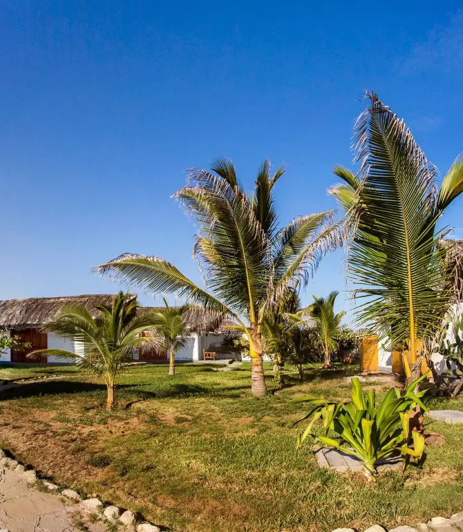 Mancora