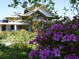 Advaita Ashrama, Mayavati