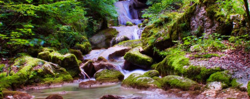 Twannbachschlucht