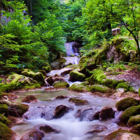 Twannbachschlucht