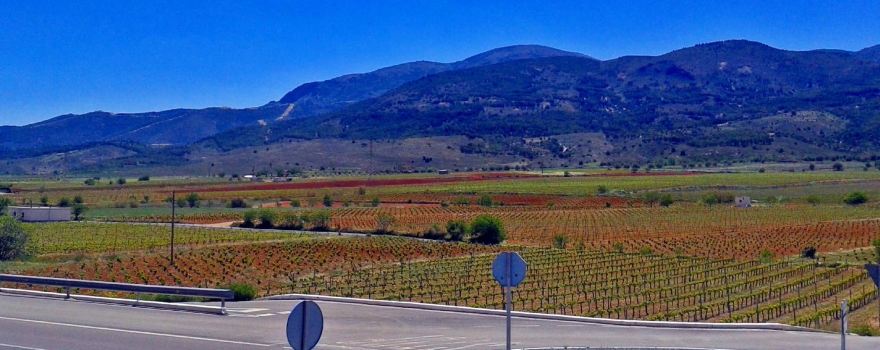 Bodega Fuente Victoria