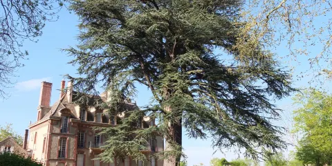 田園皇家港國立博物館