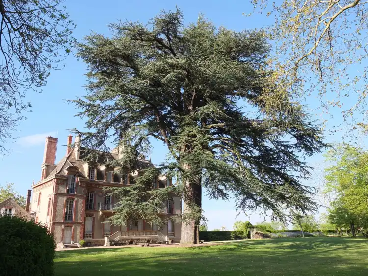 Hotels in Magny-les-Hameaux