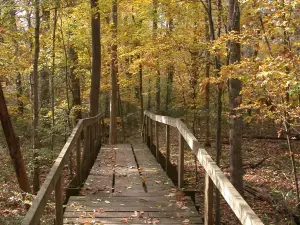Walter B Jacobs Memorial Nature Park