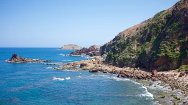 Quy Nhon Dong