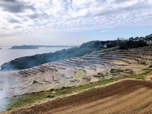 Doya Rice Terraces