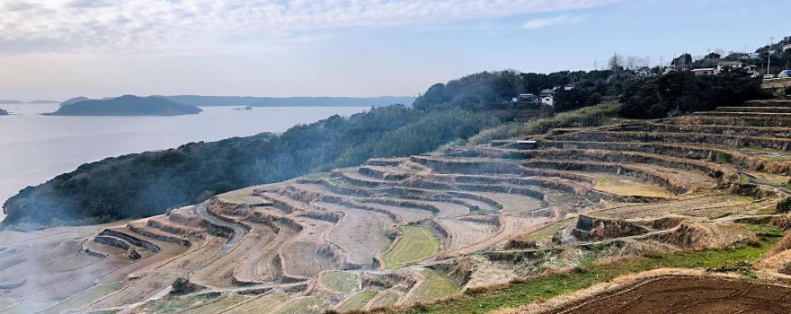 Doya Rice Terraces