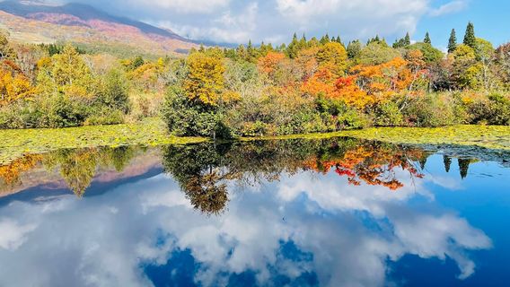 Myoko Kogen Visitor Center