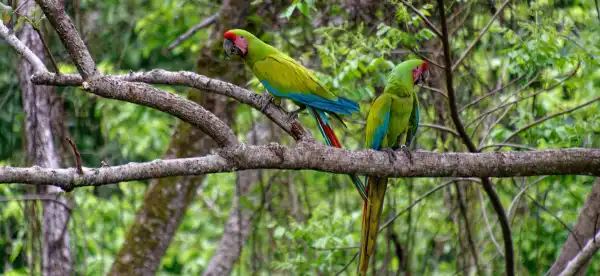 Hotels in Punta Uva