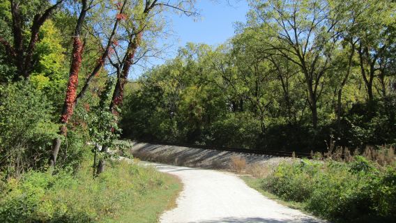Waterfall Glen Forest Preserve