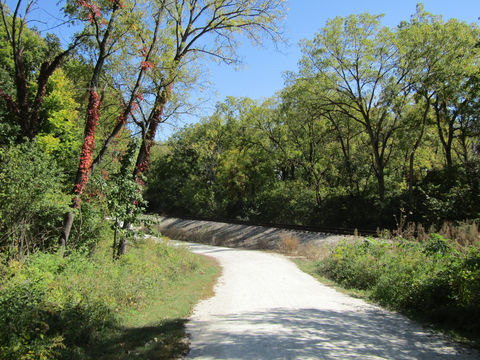 Waterfall Glen Forest Preserve