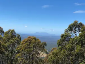Horse Riding Tasmania