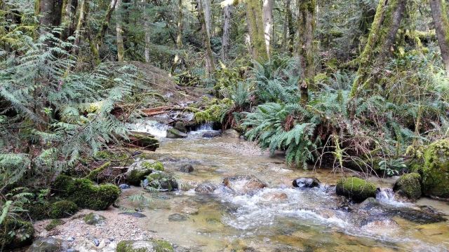 Burnett Falls Park