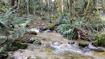 Burnett Falls Park