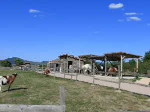 Ferme Pedagogique La Moulerette
