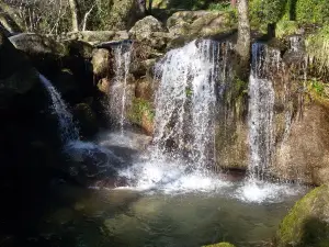 Barragem da Queimadela