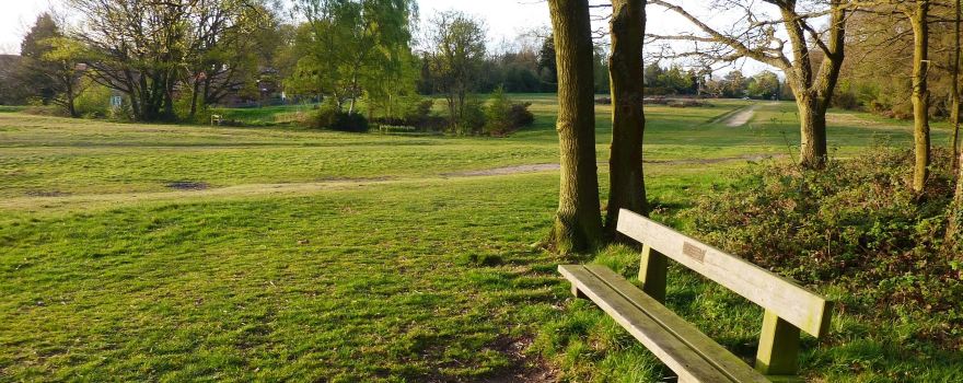 Chorleywood Common