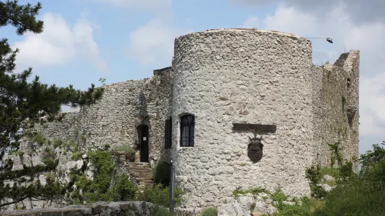 The Socerb Castle
