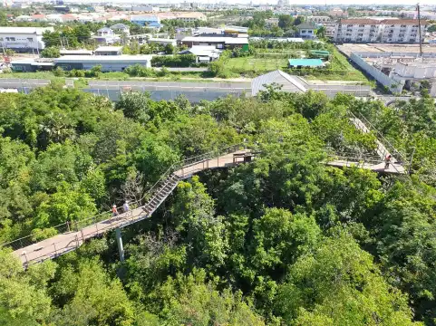 Hotels near PTT Green in the City