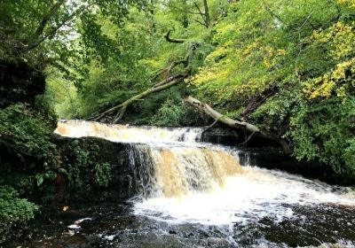 Dalry