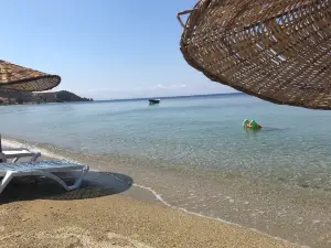 Çınar Koyu