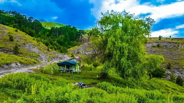 Hilton Garden Inn Hotels in Isparta