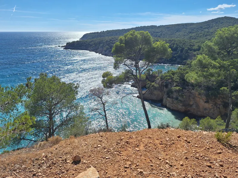 Bandol