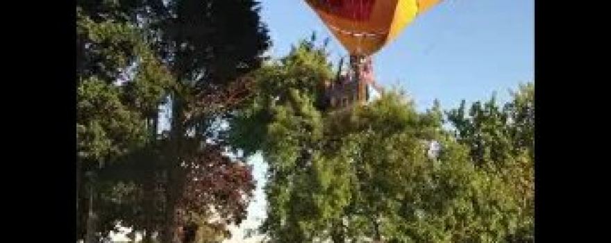 Suzanna Balloons
