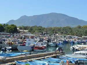 Ruines romaines tipaza (guide)