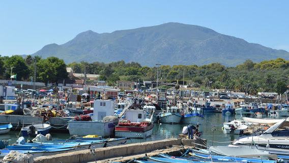 Ruines romaines tipaza (guide)