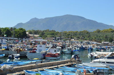Ruines romaines tipaza (guide)