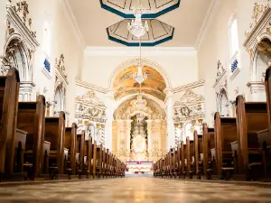 Parish of Our Lady Mother of Men