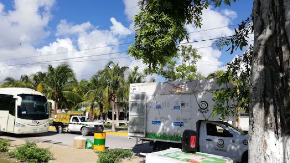 Parque la Colonia