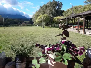 Camping El Arenal