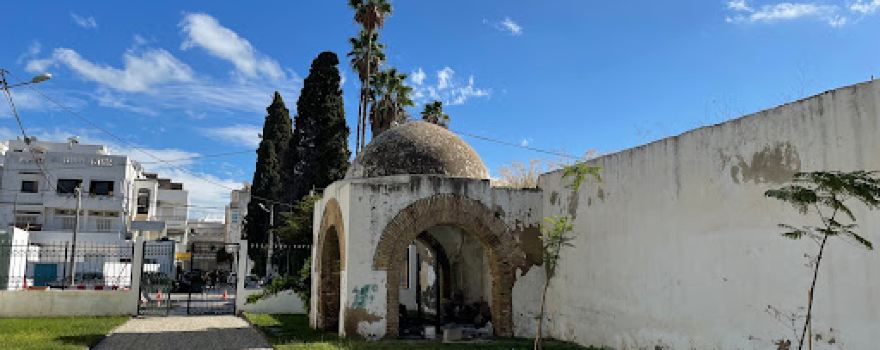 Abdelliya Palace
