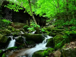 Bordner's Cabin