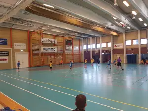 Raufosshallen