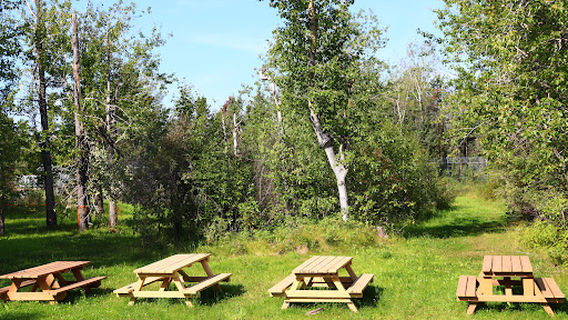 Boreal Discovery Centre