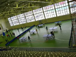 Zvezdnyy