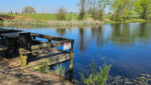 Mineola Disc Golf Course